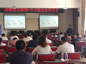 保山市 互聯網 中小微企業專項行動在龍陵縣成功舉辦